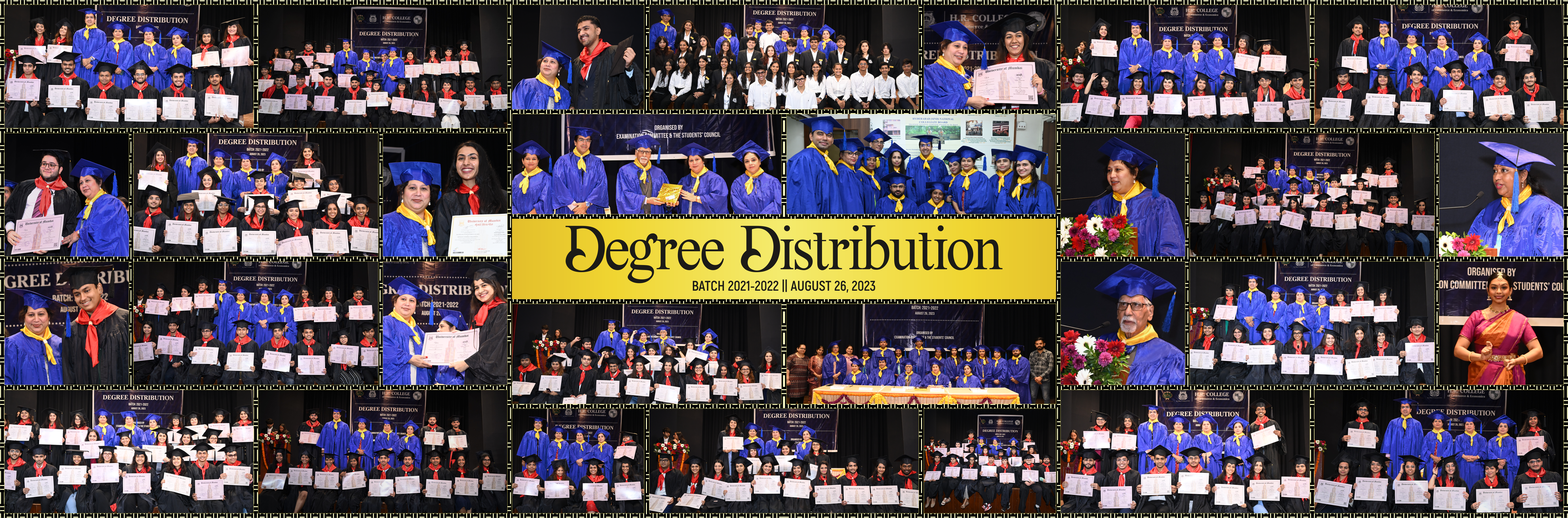 Degree Distribution - August 25, 2023